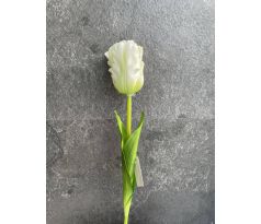 Tulipán 17101 60cm