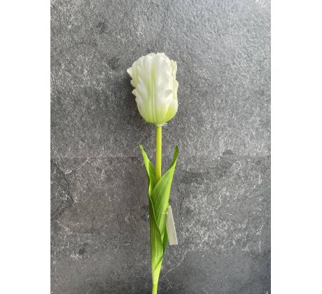 Tulipán 17101 60cm