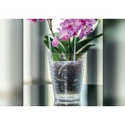 Plastové obaly na orchideu