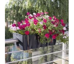 balkónové kvetináče