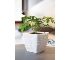 Kvetináč Sahara petit hranatý 13 biely