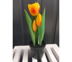 Tulipány v kvetináči CV10553-1 23cm