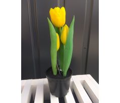 Tulipány v kvetináči CV10553-2 23cm