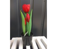 Tulipány v kvetináči CV10553-4 23cm