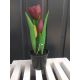 Tulipány v kvetináči CV10553-5 23cm