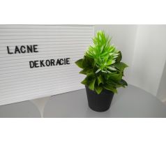 Kvetina v kvetináči CV14723 slabo-zelena