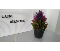 Kvetina v kvetináči CV14723 bordová