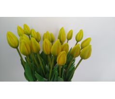Žltý tulipán nerozkvitnutý CV07588-2 42cm
