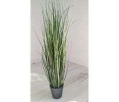 Zelená tráva v kvetináči CV06318-W 60cm