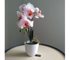 Orchidea v kvetináči CV14301-4 35cm bielo cyklamenová