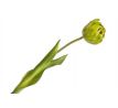 Tulipán gumový K04038 zelený 44cm
