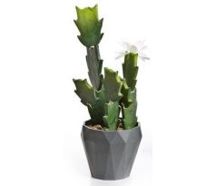 Kaktus v kvetináči 03365 27cm biely