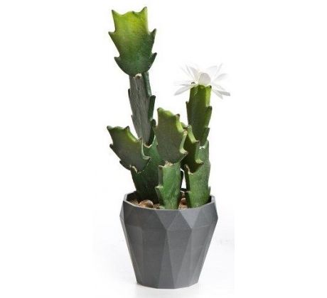 Kaktus v kvetináči 03365 27cm biely