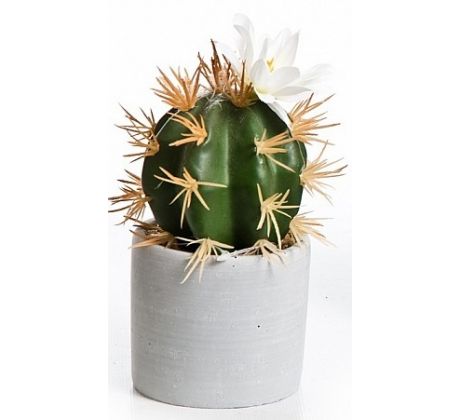Kaktus v betónovom kvetináči 03368 biely