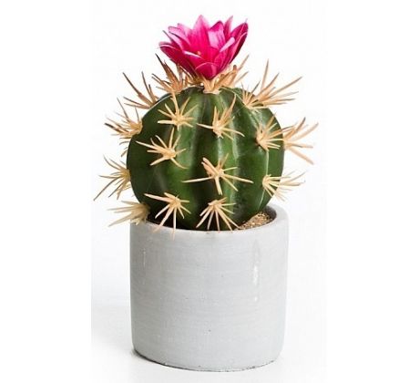 Kaktus v betónovom kvetináči 03368 cyklamenový