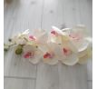 Orchidea VIP2035/17 100cm krémovo-rúžová