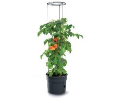 Kvetináč na pestovanie paradajok IPOM300 antracit