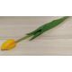 Žlto-oranžovy tulipán Prémium 40cm