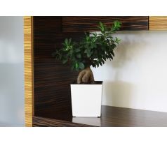 Plastové kvetináče Juka 250x250, snehovo-biely