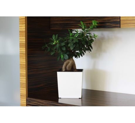 Plastové kvetináče Juka 250x250, snehovo-biely