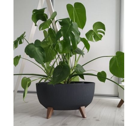 Misa Roma Jumper 430mm oval, antracit