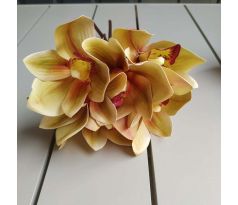 Zväzok Orchidea 03933 hnedá