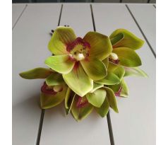Zväzok Orchidea 03933 zelená
