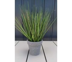 Tráva v keramickom kvetináči 113437 27cm