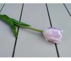 Bledo-fialový tulipán CV07587 pogumovaný