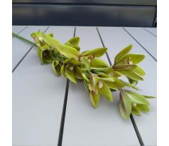 Vysoká umelá orchidea 03903 85cm zelená