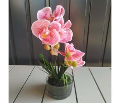 Orchidea v skle 05030 32cm ružová