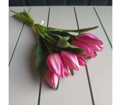 Zväzok tulipánov K03696-5 fialové 12 kusov