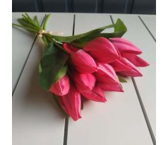 Zväzok tulipánov K03696-4 bordový 12 kusov