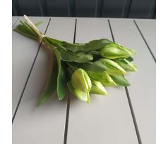 Zväzok tulipánov K03696-2 zelené 12 kusov