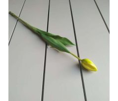 Žltý tulipán Premium 40cm