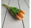 Zväzok tulipánov Prémium 5x 28cm oranžový