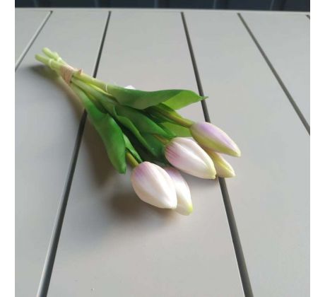 Zväzok tulipánov Prémium 5x 28cm fialový