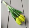 Zväzok tulipánov Prémium 5x 28cm žltý