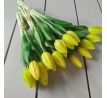 Zväzok tulipánov Prémium 5x 28cm žltý