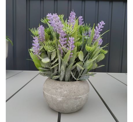 Rastlina v cementovom kvetináči 19cm 22976-2