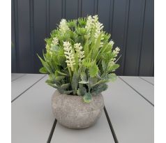 Rastlina v cementovom kvetináči 19cm 22976-3