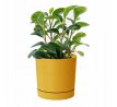 Kvetináč TUBO P DPOP200 19,9cm horčicový