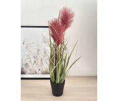 Dekoratívna tráva v kvetináči 126954 54cm