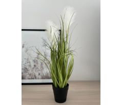 Dekoratívna tráva v kvetináči 126948 54cm