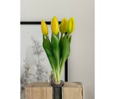 Zväzok tulipánov Prémium 5x 28cm žltý