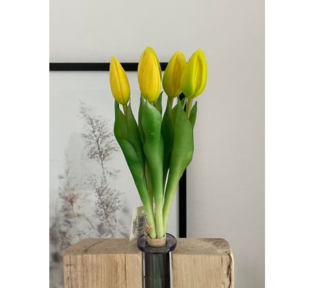 Zväzok tulipánov Prémium 5x 28cm žltý