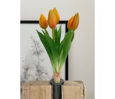Zväzok tulipánov Prémium 5x 28cm oranžový
