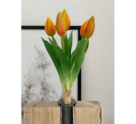 Zväzok tulipánov Prémium 5x 28cm oranžový