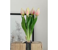 Zväzok tulipánov Prémium 5x 28cm ružový
