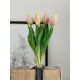 Zväzok tulipánov Prémium 5x 28cm ružový